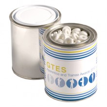 PAINT TIN WITH MINTS 225G